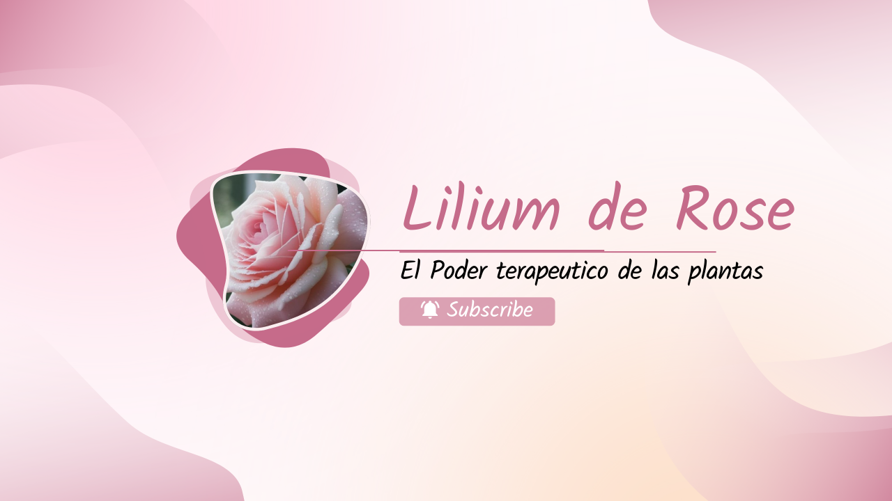 Canal de YouTube de Lilium de Rose
